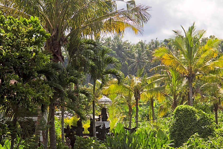 Jasri Dalem Surf Retreat