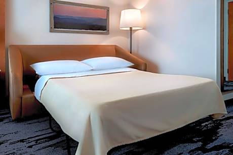 King Studio Suite with Sofa Bed