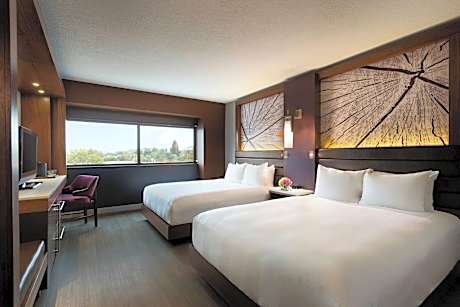 Room, 2 Queen Beds