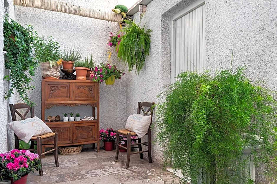 Μεζονέτα στο κύμα