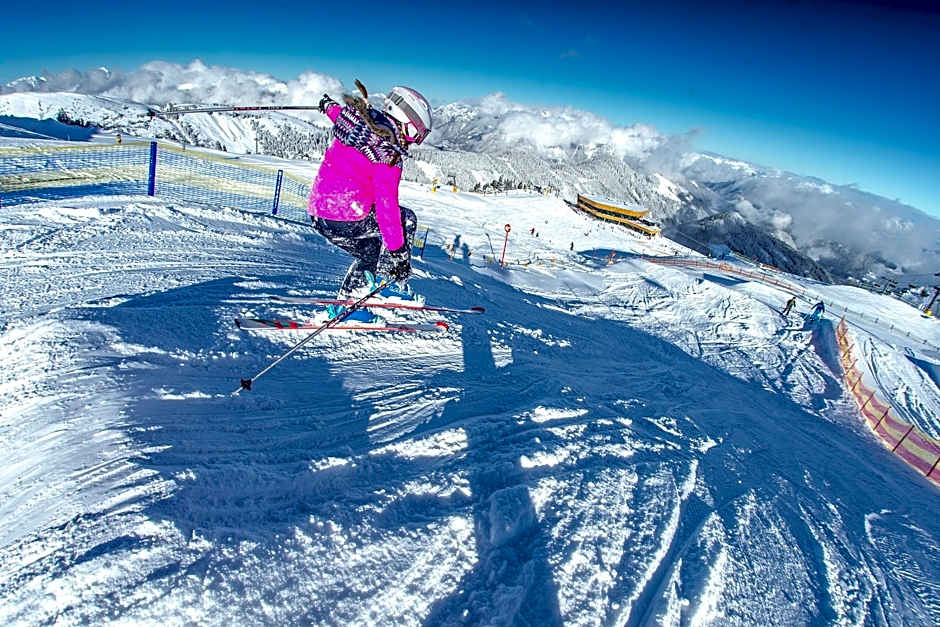 Hotel Landhaus Zillertal
