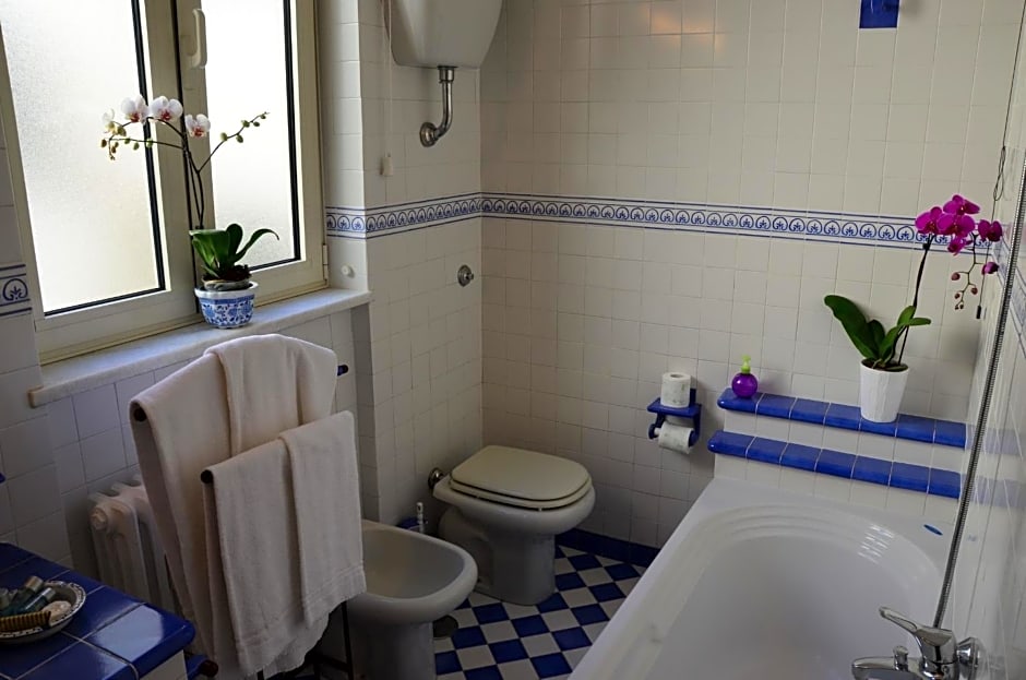 B&B SPLENDIDAE MUNDI