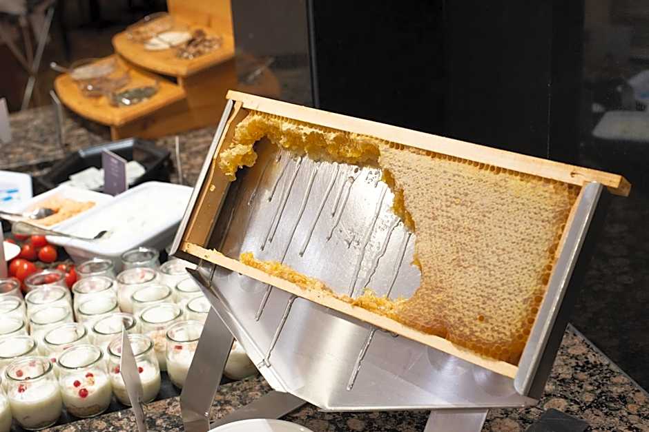 Lotus Therme Hotel & Spa