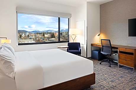 Traditional King, Guest room, 1 King