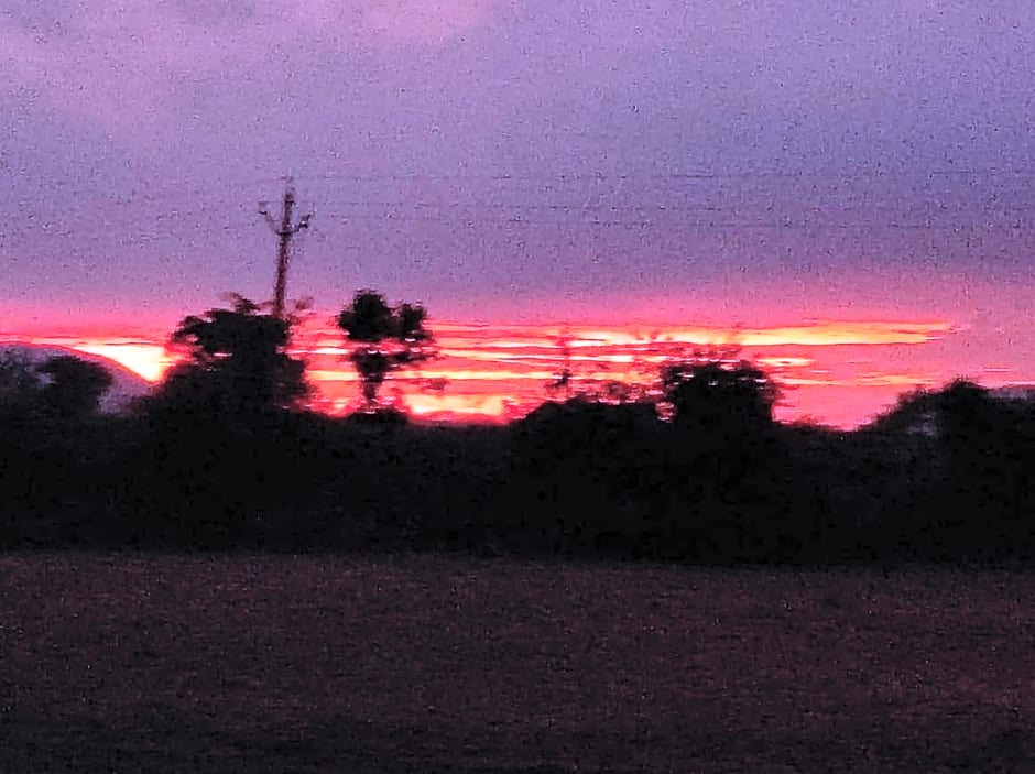 Club Shandilya-A Cheerful 3 BR Place in Nature lap