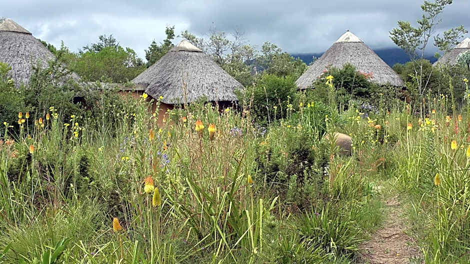 Drakensberg Inkosana Lodge