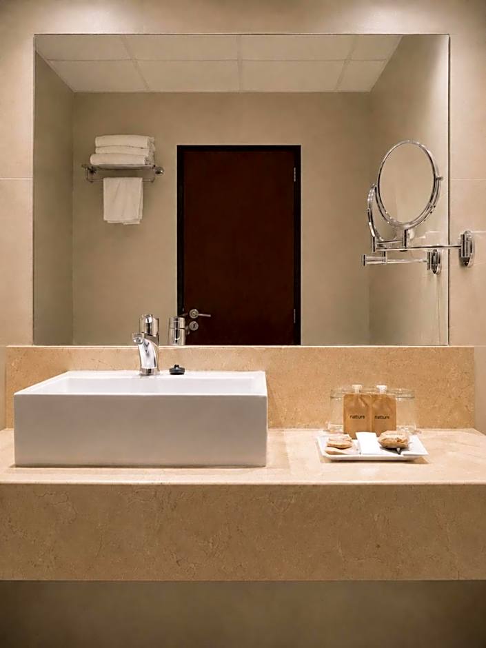 Hotel Chamartin The One
