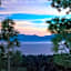 Tahoe Chaparral