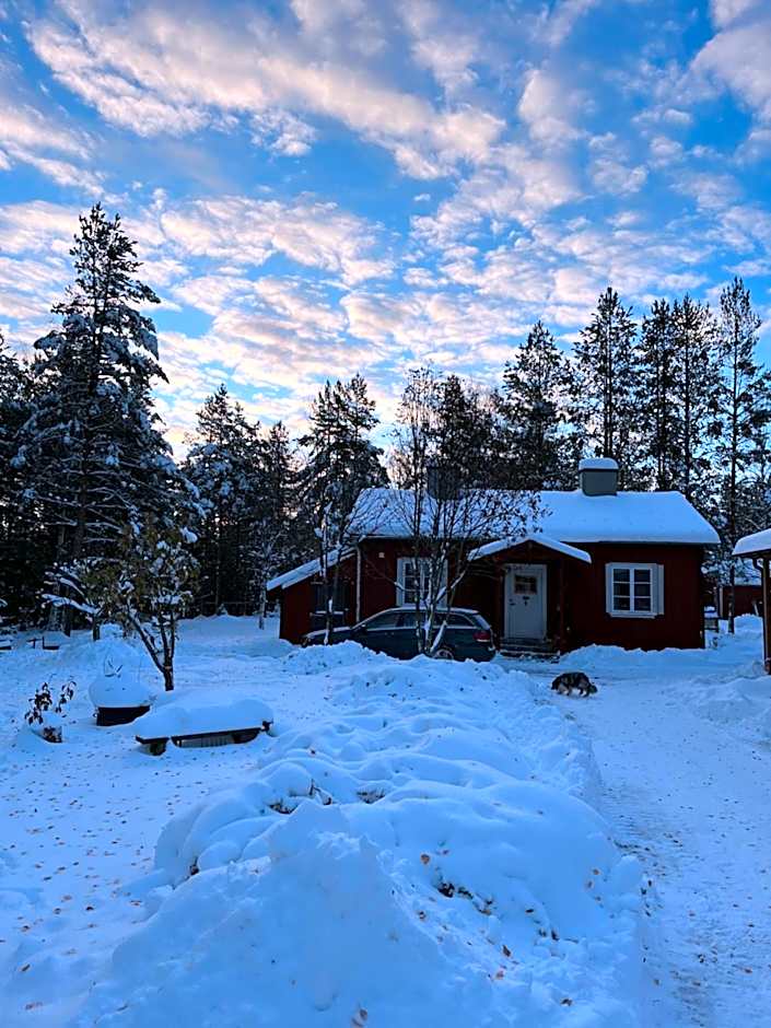 Nya Skogsgården Hostel