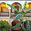 Riad Tidar by Phoenix