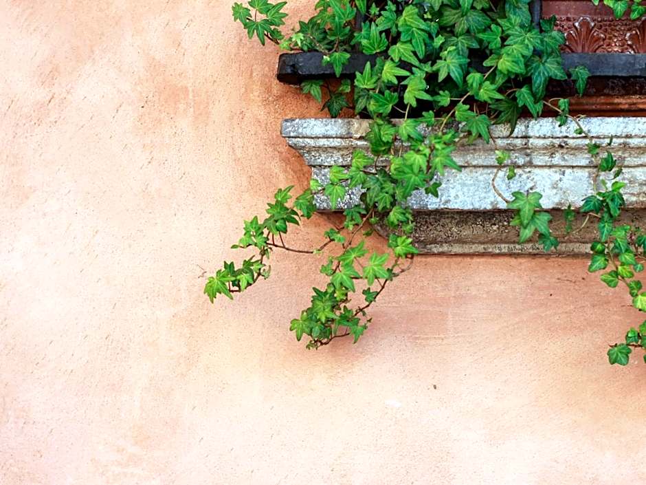 Casa Isolani Guest House Santo Stefano