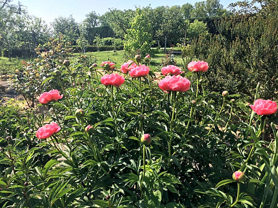 Domaine de la Botterie