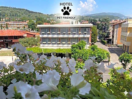 Hotel Benaco Garda ***S