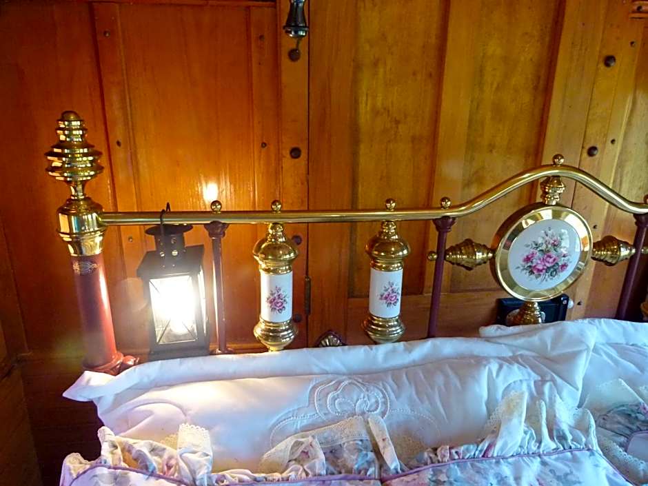 Wacky Stays - unique farm-stay glamping rentals, FREE animal feeding tours