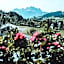 Farmhotel & Chalets Grosslehen