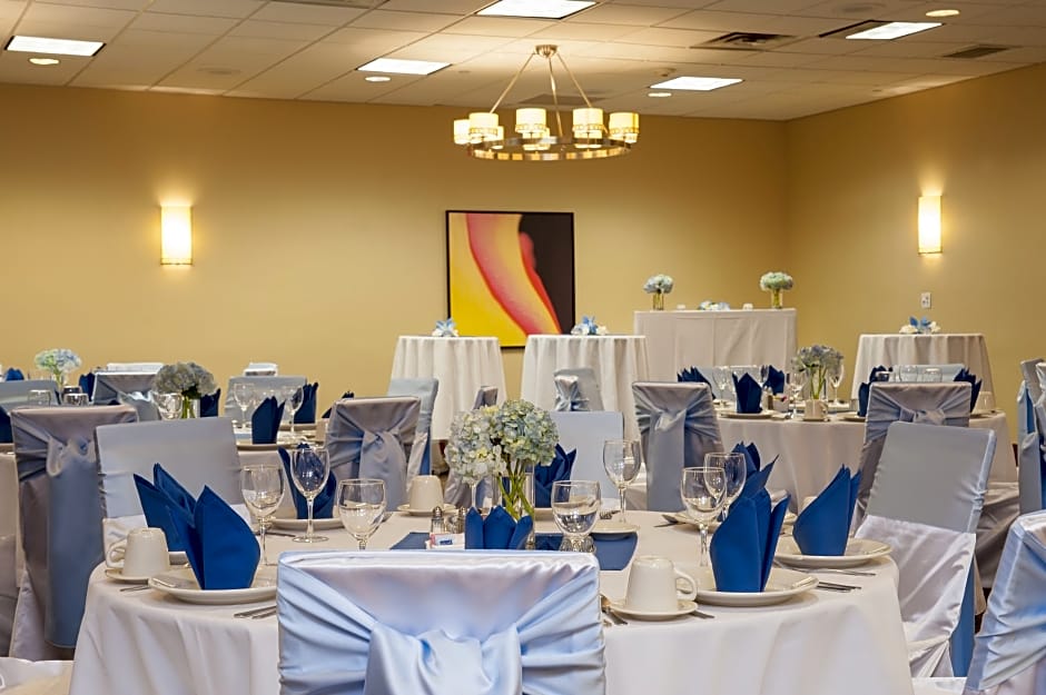 Holiday Inn Chicago West - Itasca