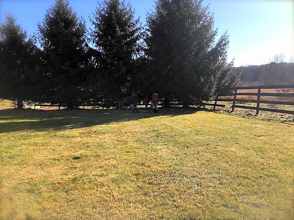 Equestrian House Suites
