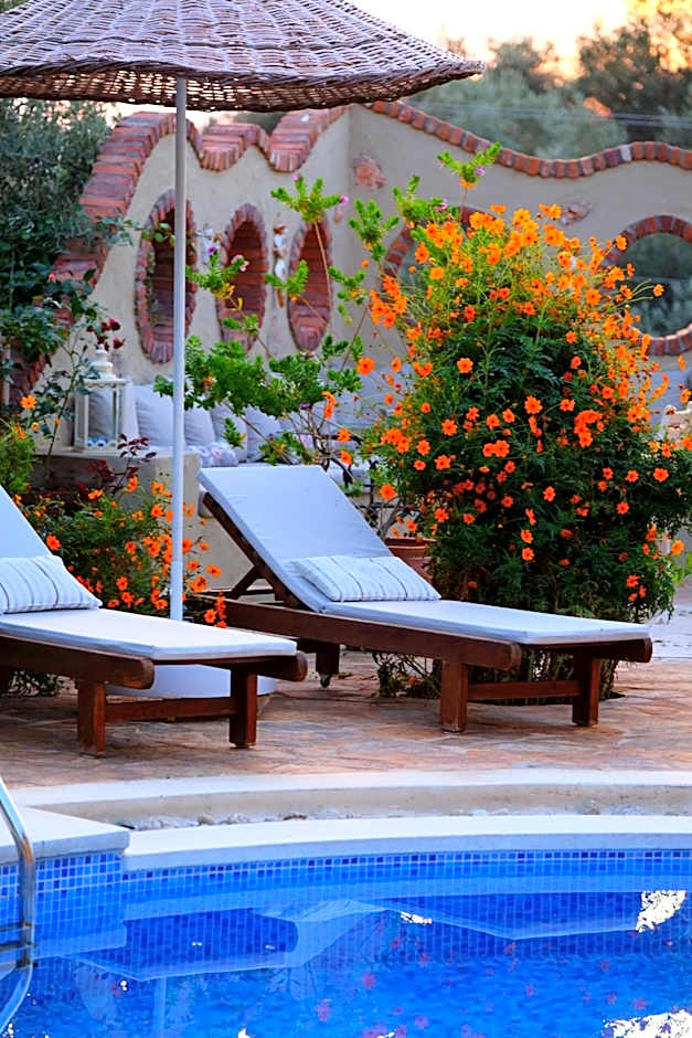 Mandarin & Mango Boutique Hotel