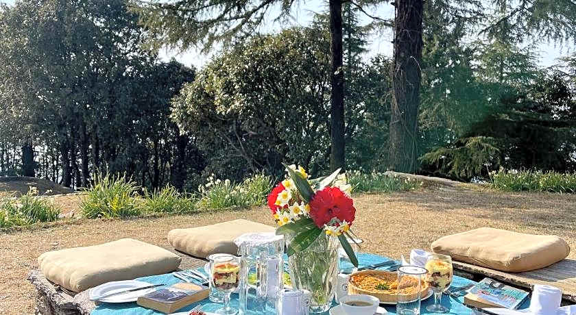 Tree of Life - Grand Oak Manor, Binsar Wildlife Sanctuary