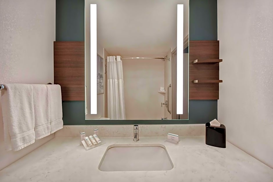 Hilton Garden Inn Houston/Galleria Area