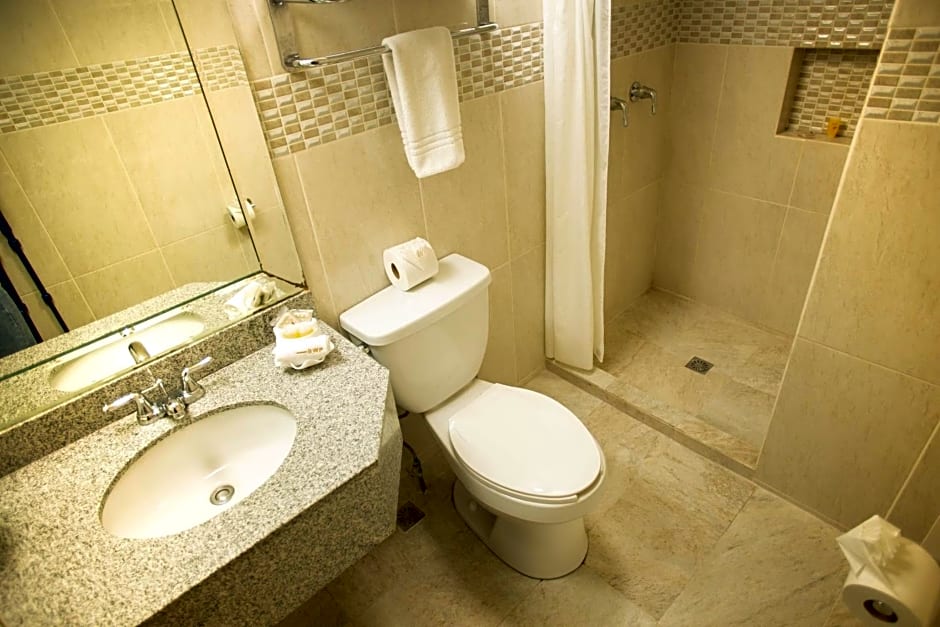 Hotel Plaza Calzada