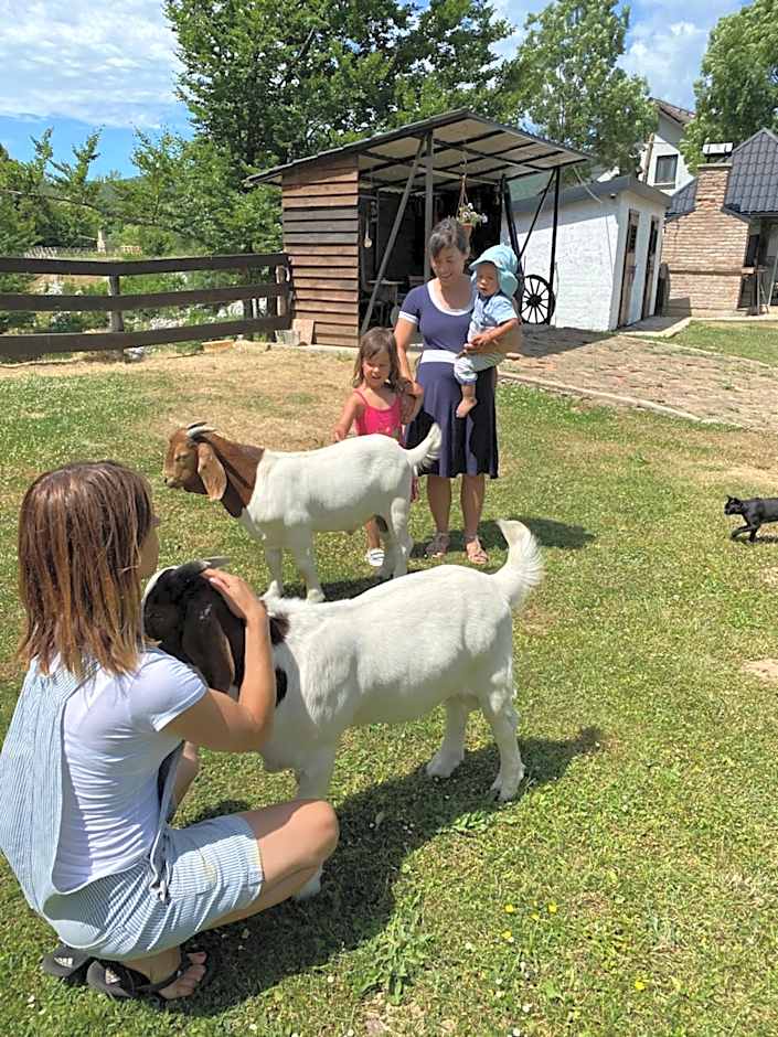 Antemurale - Luxury rooms,Plitvice Lakes