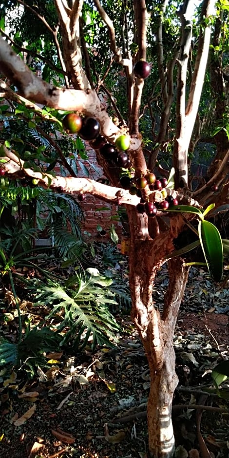 Café com Arte Pousada Ecológica