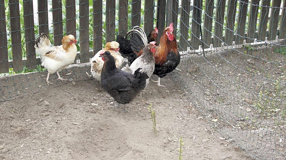 Landhaus Zangerl - Kobelerhof