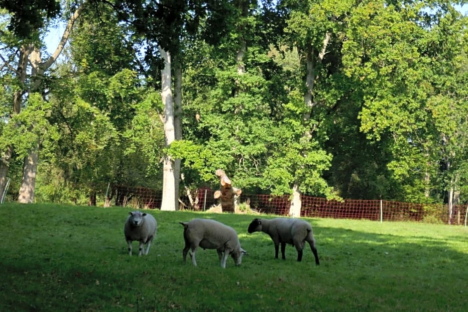 Landhaus Schloss Kolzow