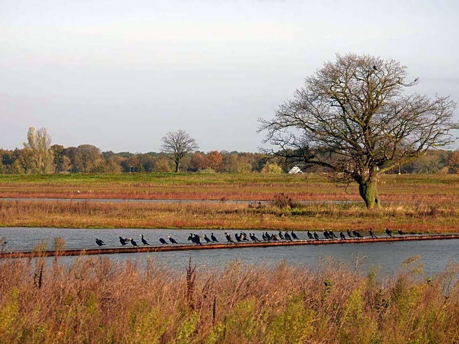 B&B de Blauwververij