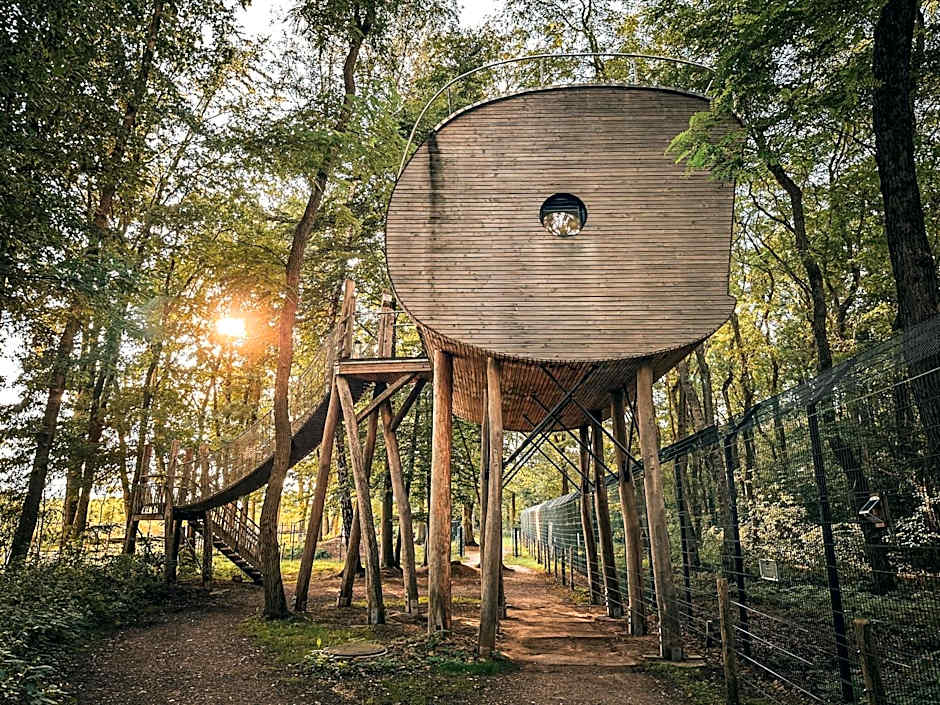 Tree Inn - Das Baumhaushotel