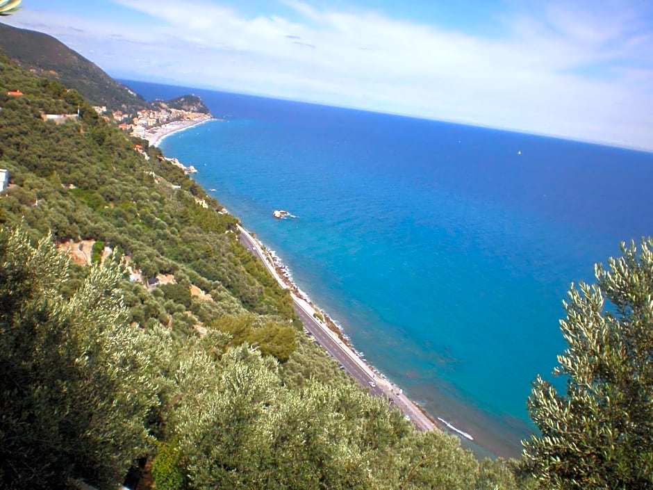 Villa Degli Ulivi B&B