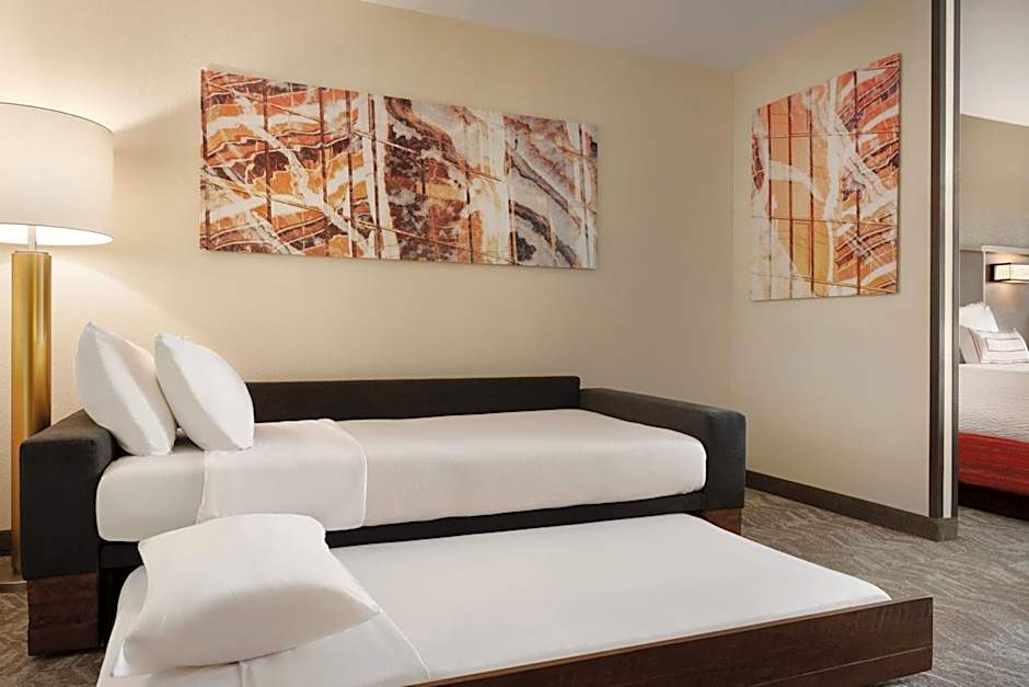 SpringHill Suites by Marriott Phoenix Chandler/Fashion Center