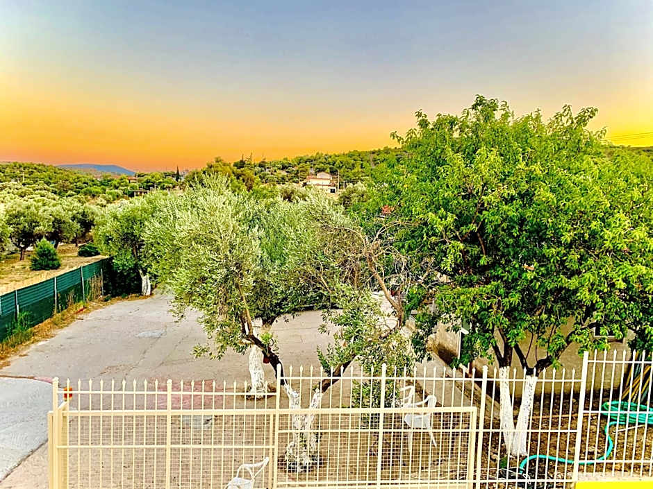 Apartments Tina FREE transfer from-to the airport