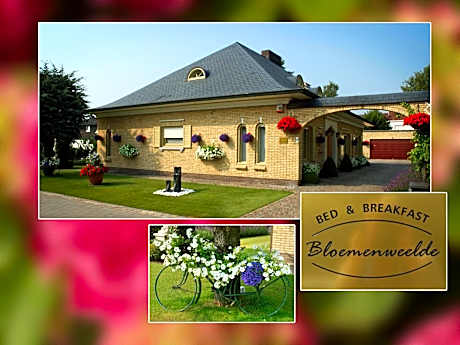 B&B Bloemenweelde