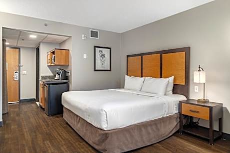 Superior Room 1 King Bed