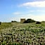 Boutique Isla Tabarca