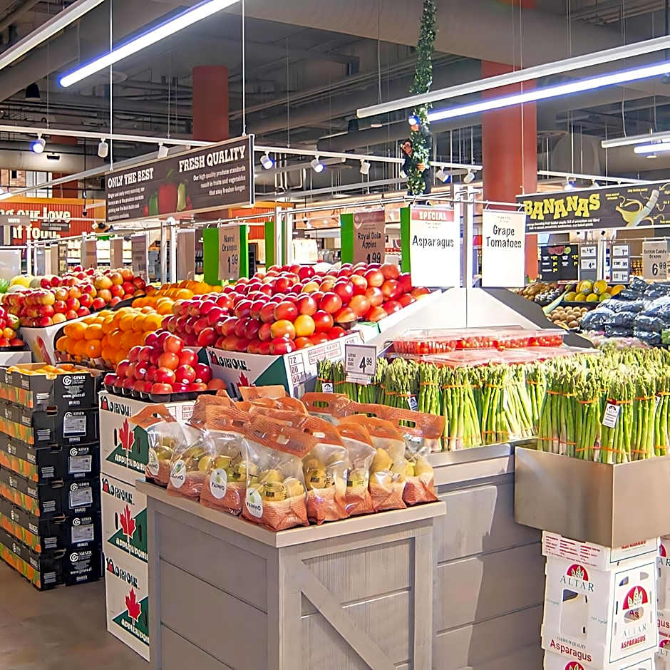 Multi-level Townhome Close to Christie Pits Park