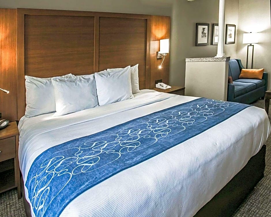 Comfort Suites Houston NW - Vintage Park