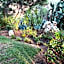 Villa DESIDERIA B&B