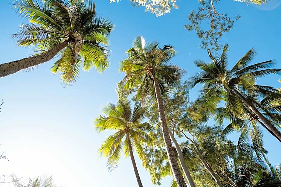 Villa Beach Palm Cove
