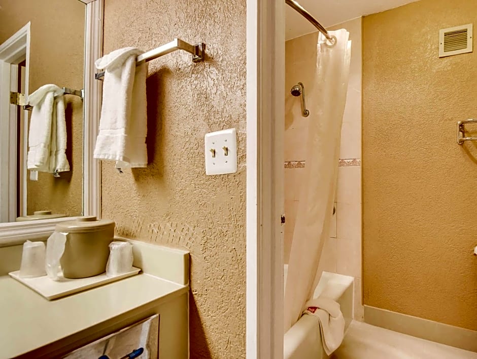 Econo Lodge Busch Gardens Tampa