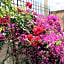 B&B Terre Di Sicilia