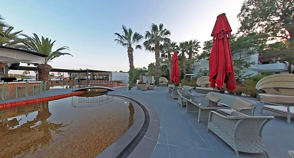 Very Chic Adult Only 18 