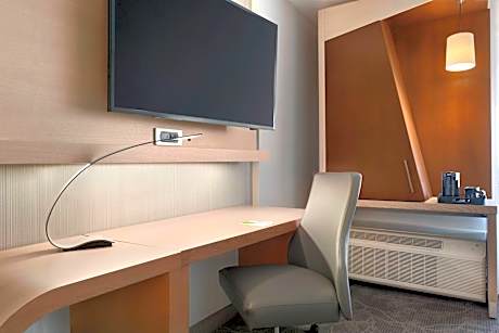 Room, 1 King Bed with Sofa bed (1 King Bed and 1 Double Sofa Bed)