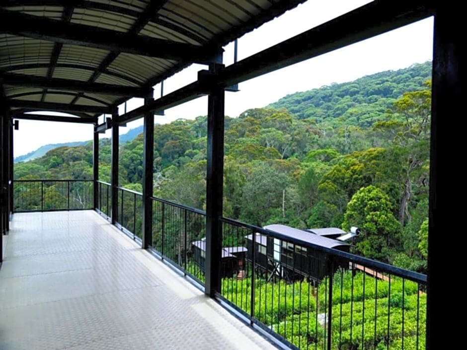 The Rainforest Ecolodge