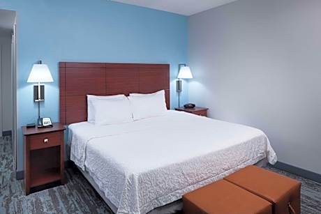 One-Bedroom King Suite - Non-Smoking