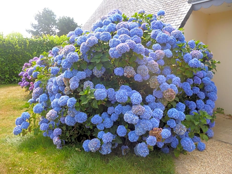 Chambres d'hôtes de Ty Guen