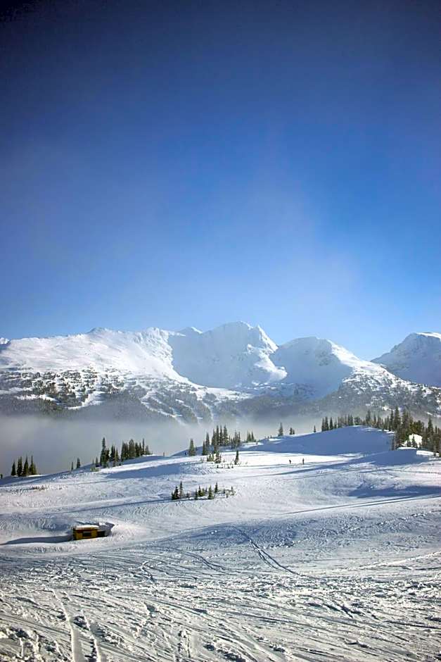 Cozy Creek Den - Studio w Hot Tub and Pool