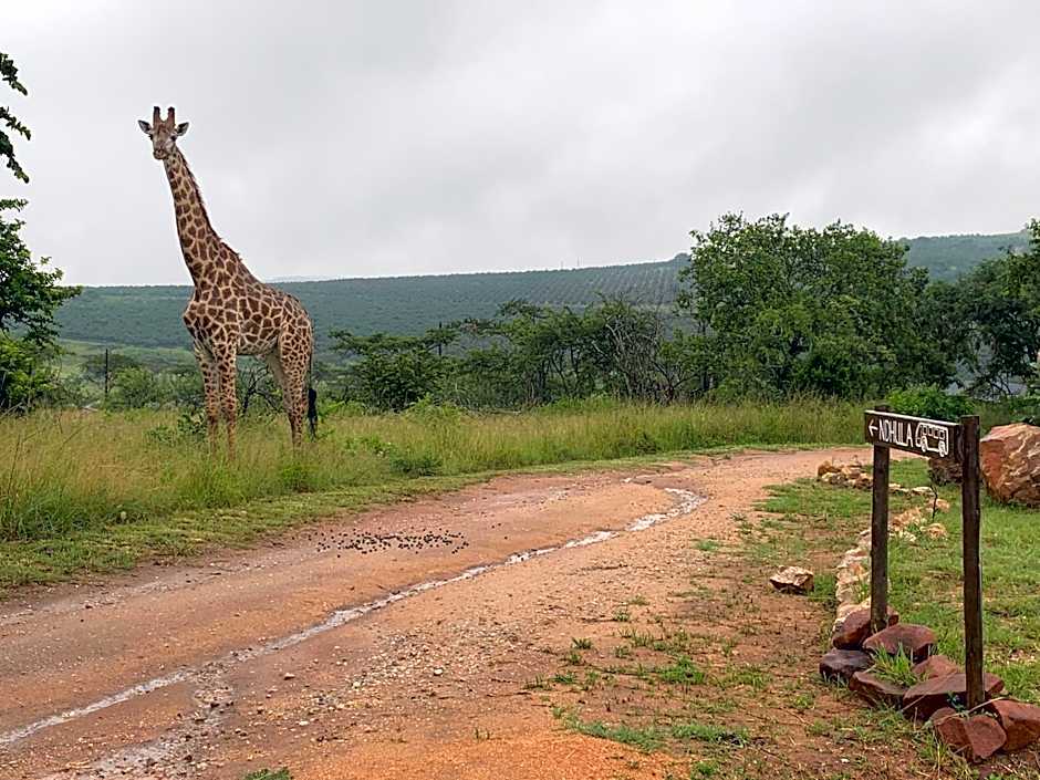 Ndhula Luxury Tented Lodge